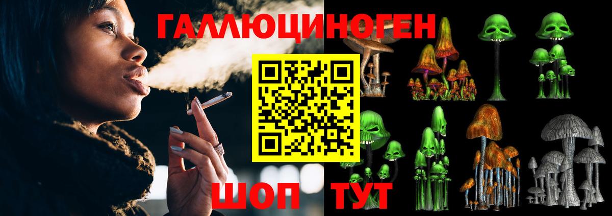 Всеволожск  Псилоцибиновые грибы Psilocybe  Вход с VPN 